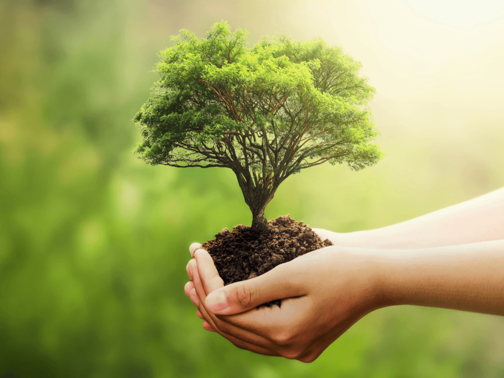 Sustainable production